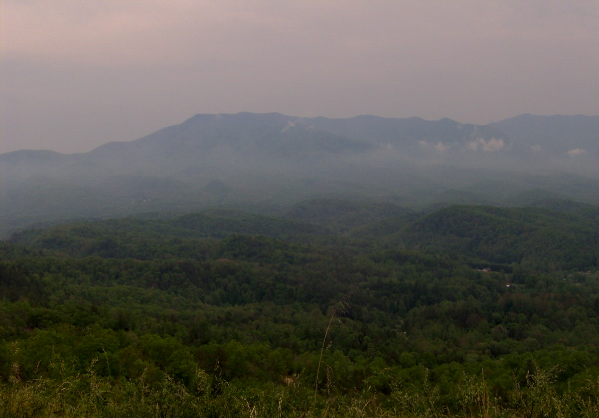 Wooded mountain ridges